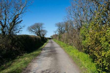Crackington Haven Hallagather Farmhouse מראה חיצוני תמונה